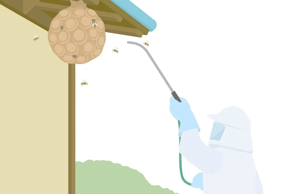 スズメバチの巣を自分で駆除する際の準備
