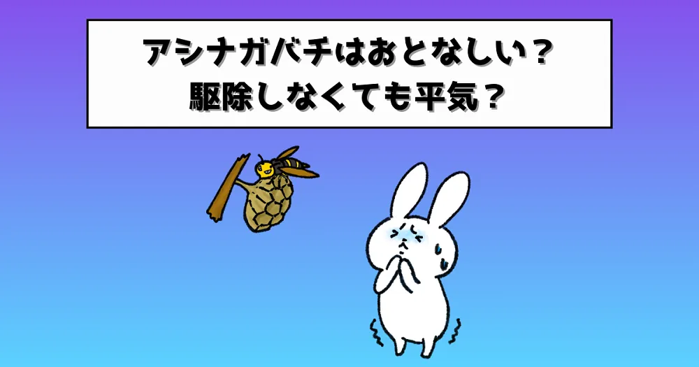 アシナガバチはおとなしい?駆除しなくても大丈夫?