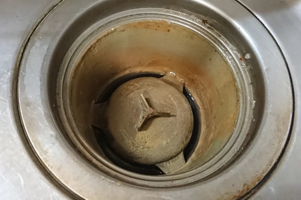 排水溝から悪臭がする原因