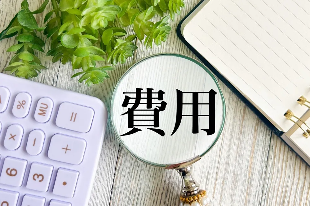 墓じまい 補助金でカバーできる費用と上限額